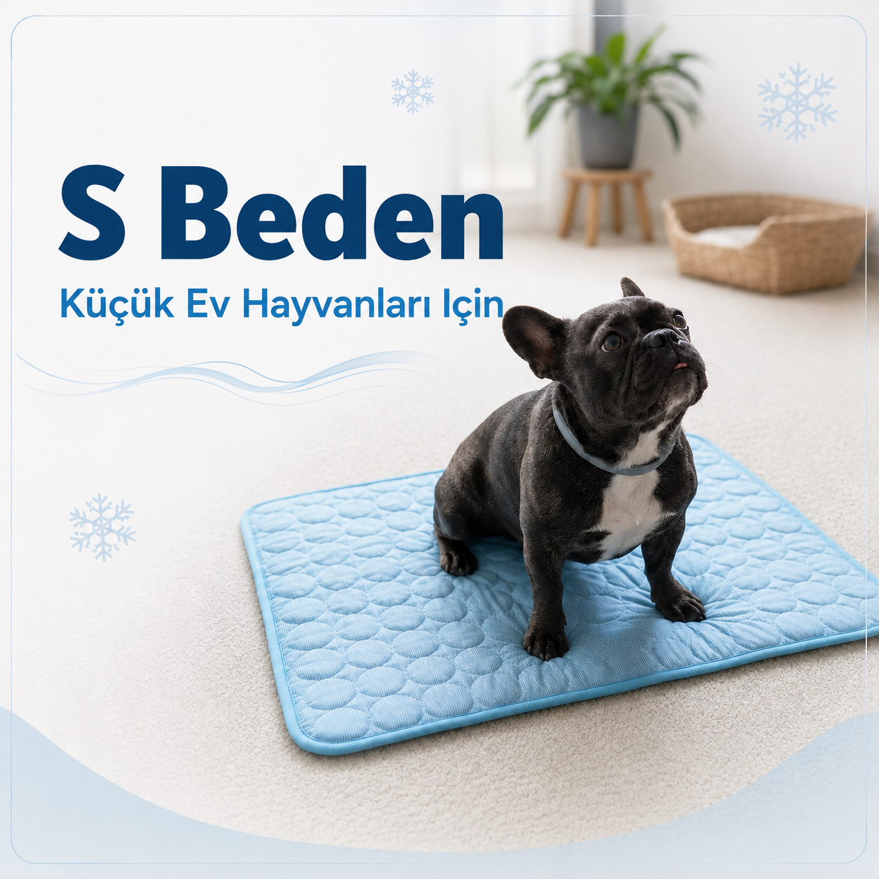 Freezora™ Serinletici Mat